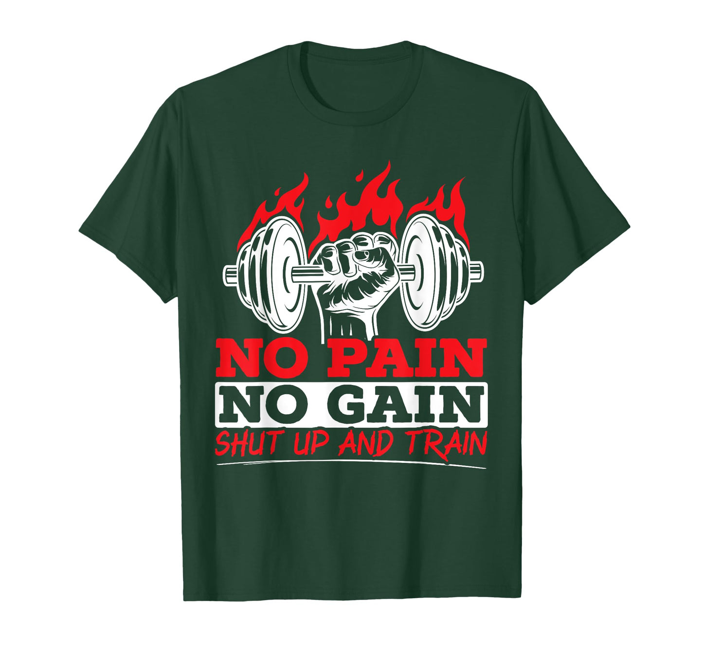 All Pain No Gains Gym Weightlifting Bodybuilding Fitness T-Shirt