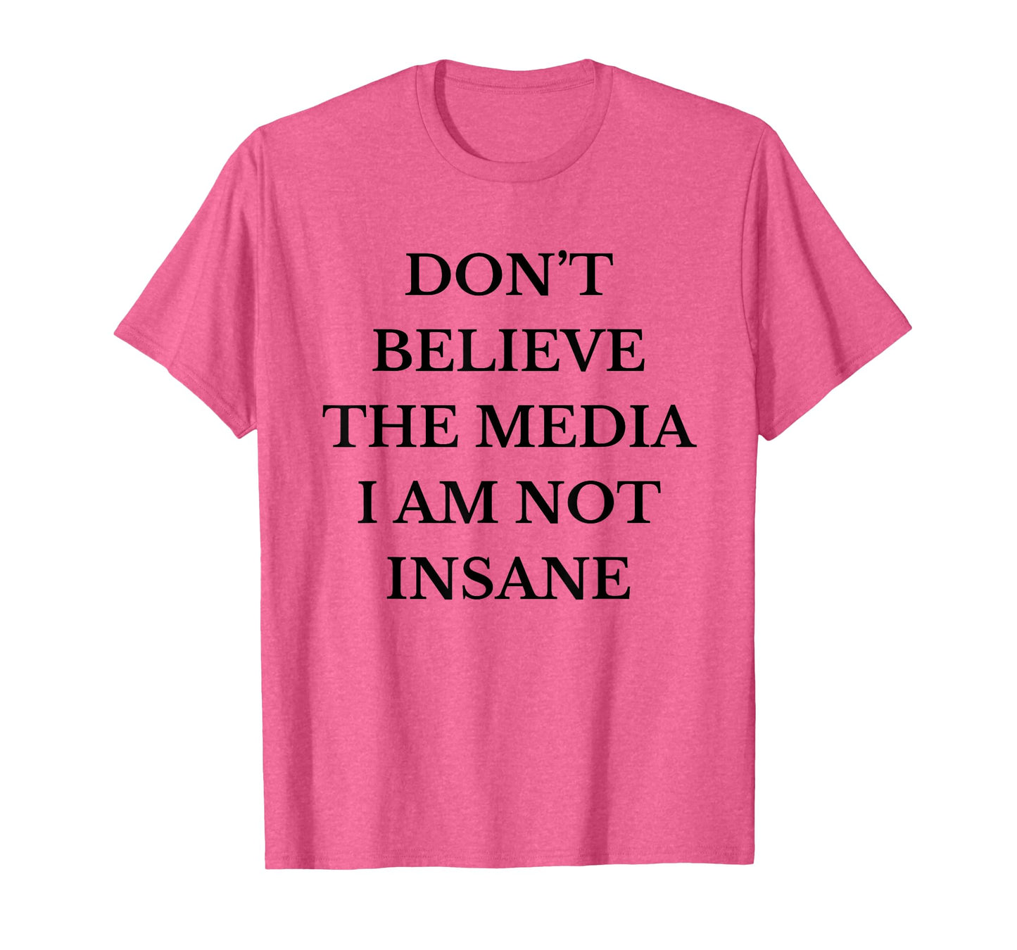Don't Believe the Media I Am Not Insane Funny Sarcastic Text T-Shirt