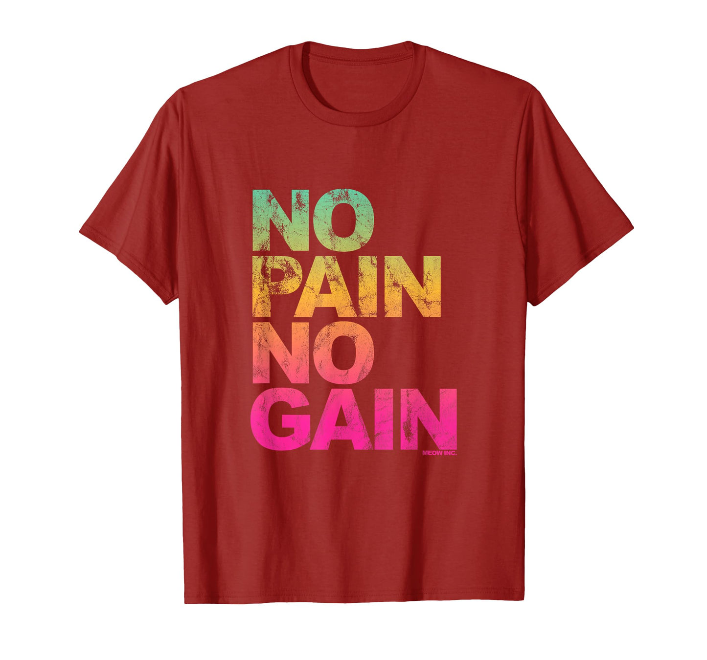 No Pain No Gain - Training, men, women T-Shirt