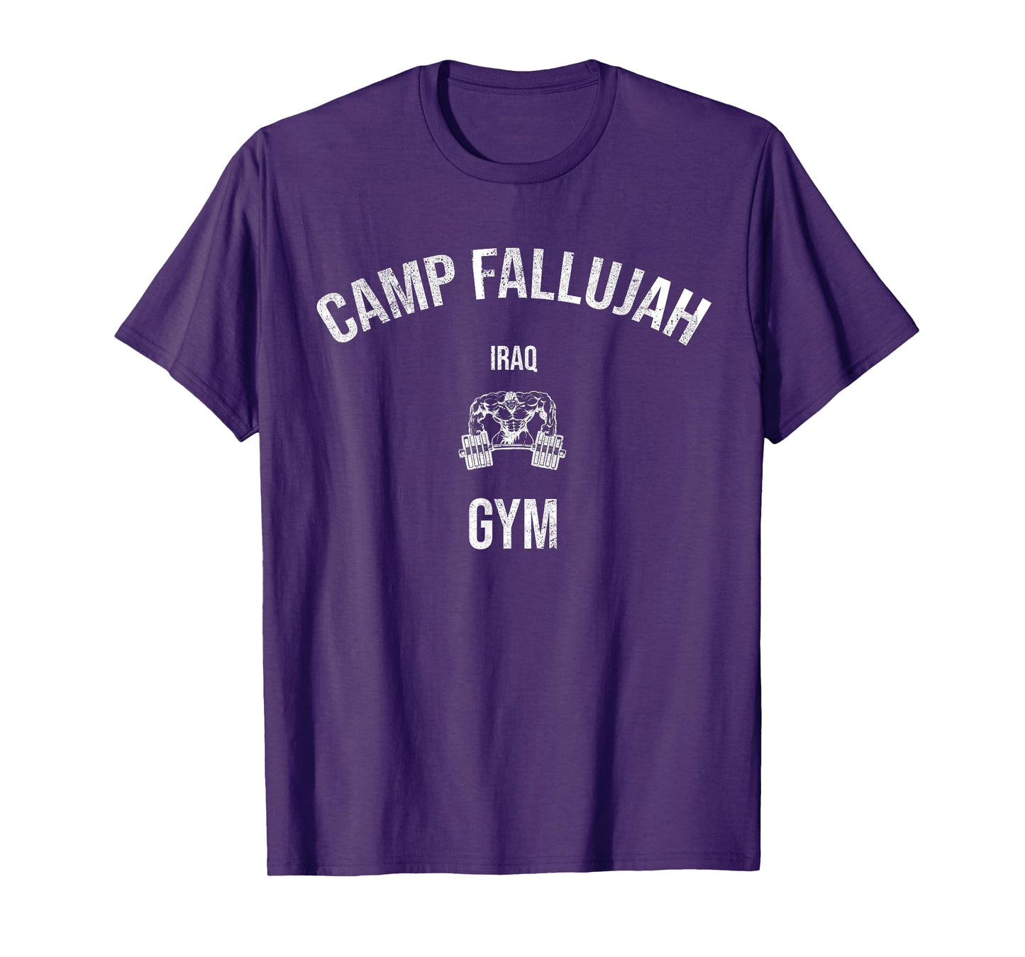 Camp Fallujah Iraq Gym Veteran OIF T-Shirt