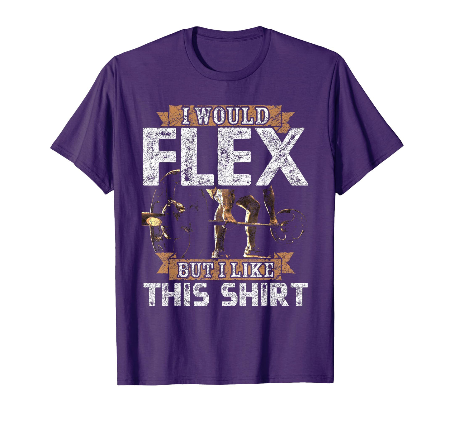 I Would Flex But I Like This Shirt Men For Workout Lovers T-Shirt