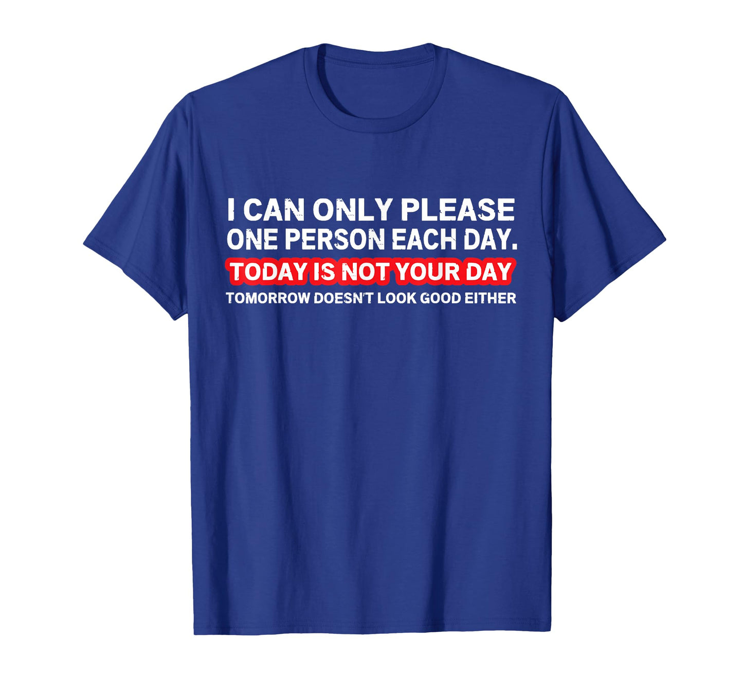 I Can Only Please One Person Per Day Sarcastic Quote T-Shirt