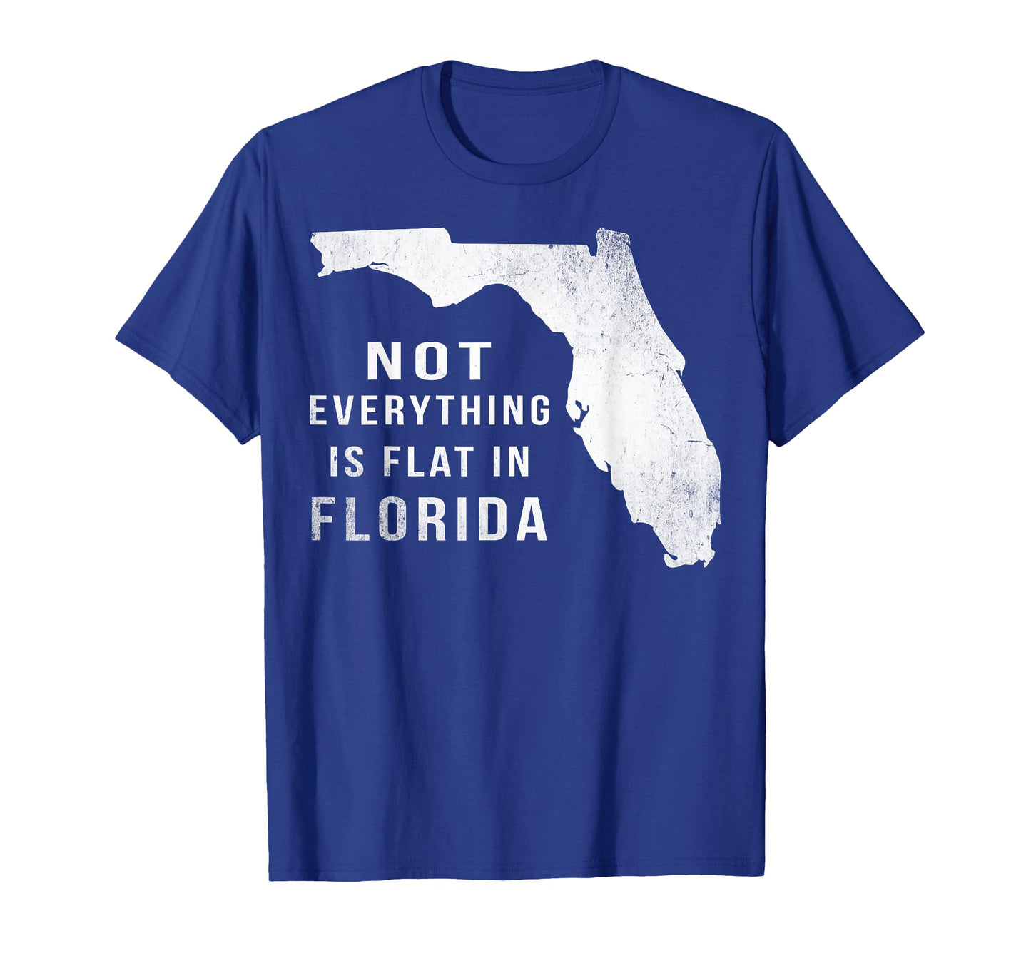 Not Everything Is Flat Funny Florida T-Shirt T-Shirt