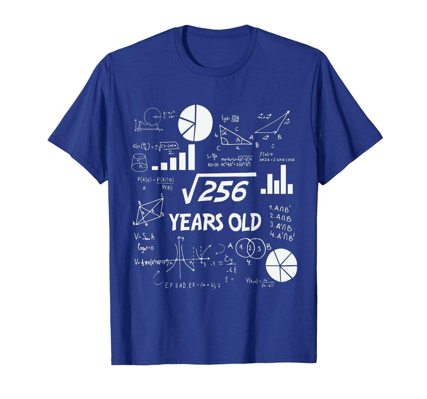 16th Birthday Square Root of 256 Math 16 Years Old Birthday T-Shirt