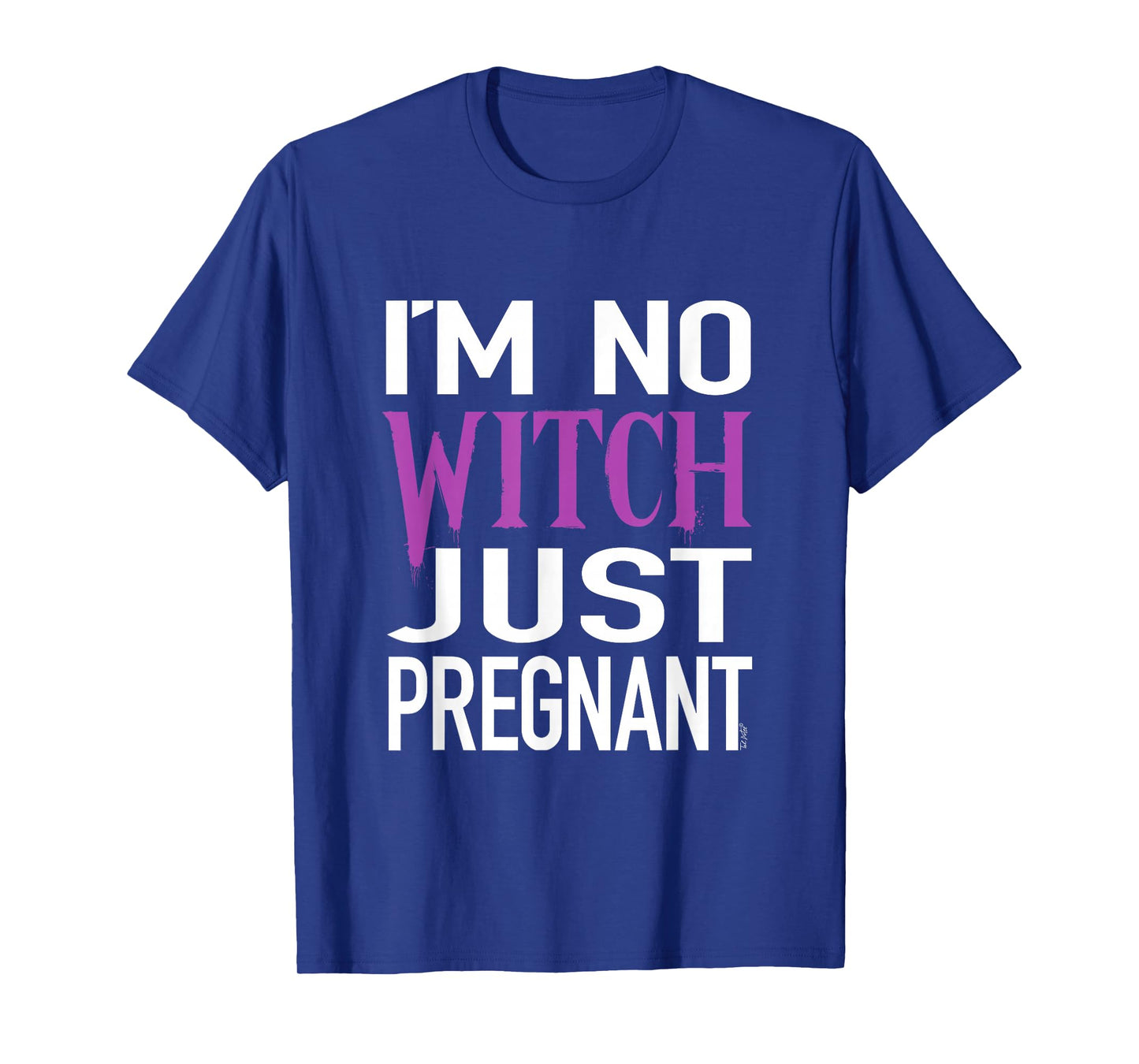 Womens I'm No Witch Just Pregnant T-Shirt