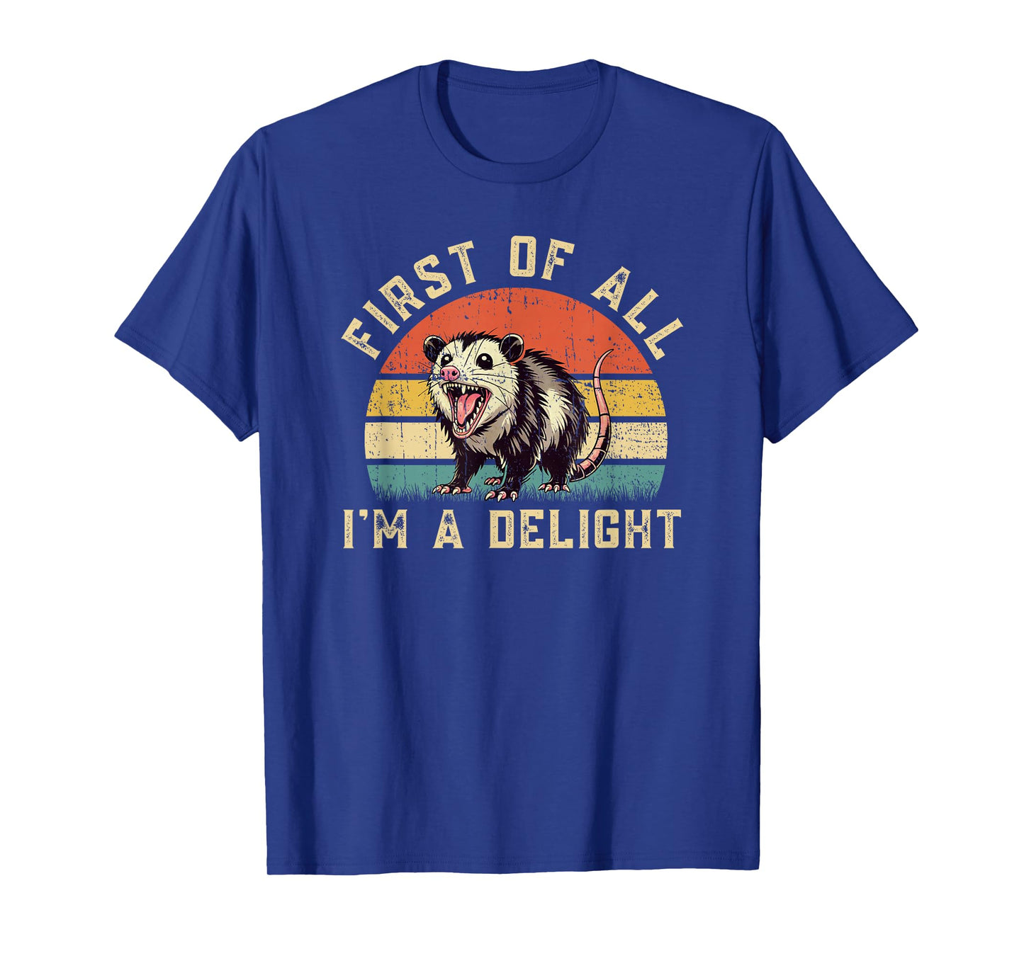 Funny Possum Opossum First Of All I'm A Delight T-Shirt
