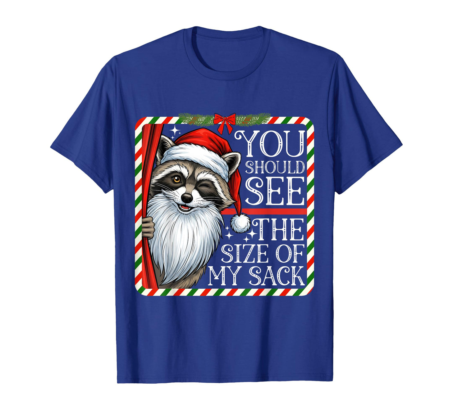 You Should See The Size of My Sack Funny Santa Christmas T-Shirt