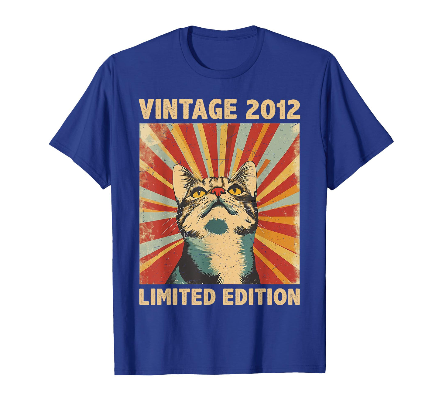13 Years Old Gift Vintage 2012 Cat Lover 13th Birthday T-Shirt for Men Women Kids