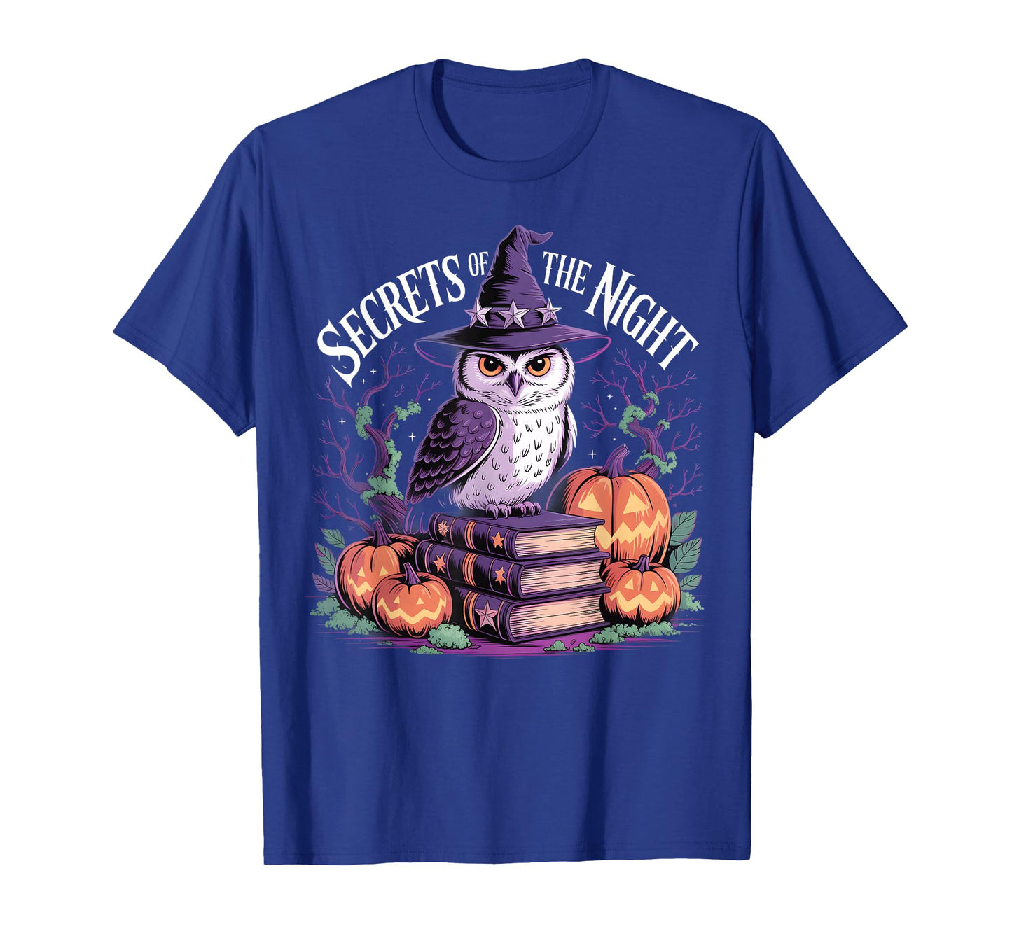 Secrets of The Night Witch Owl Pumpkin Halloween Gothic T-Shirt