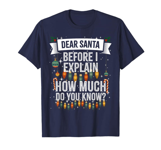 Dear Santa, I can Explain, Funny Naughty Adult Christmas T-Shirt