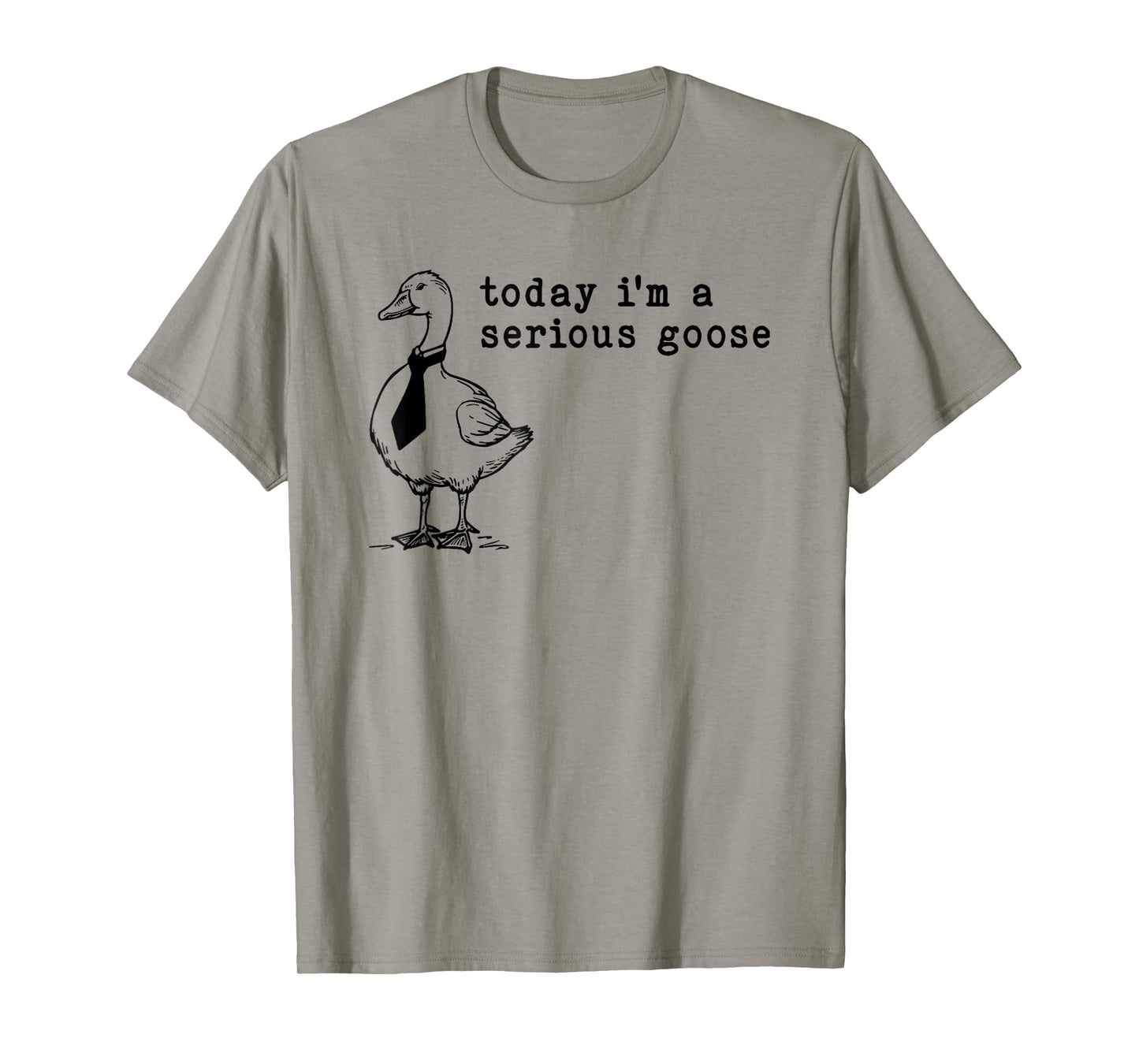 today i'm a serious goose T-Shirt