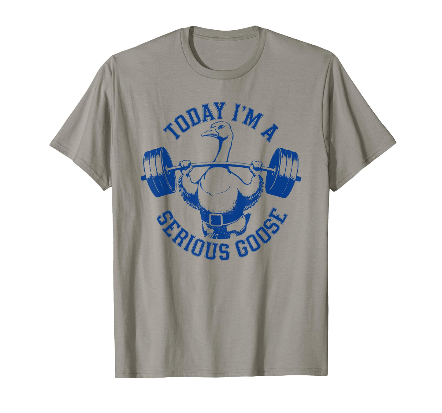 today i'm a serious goose T-Shirt