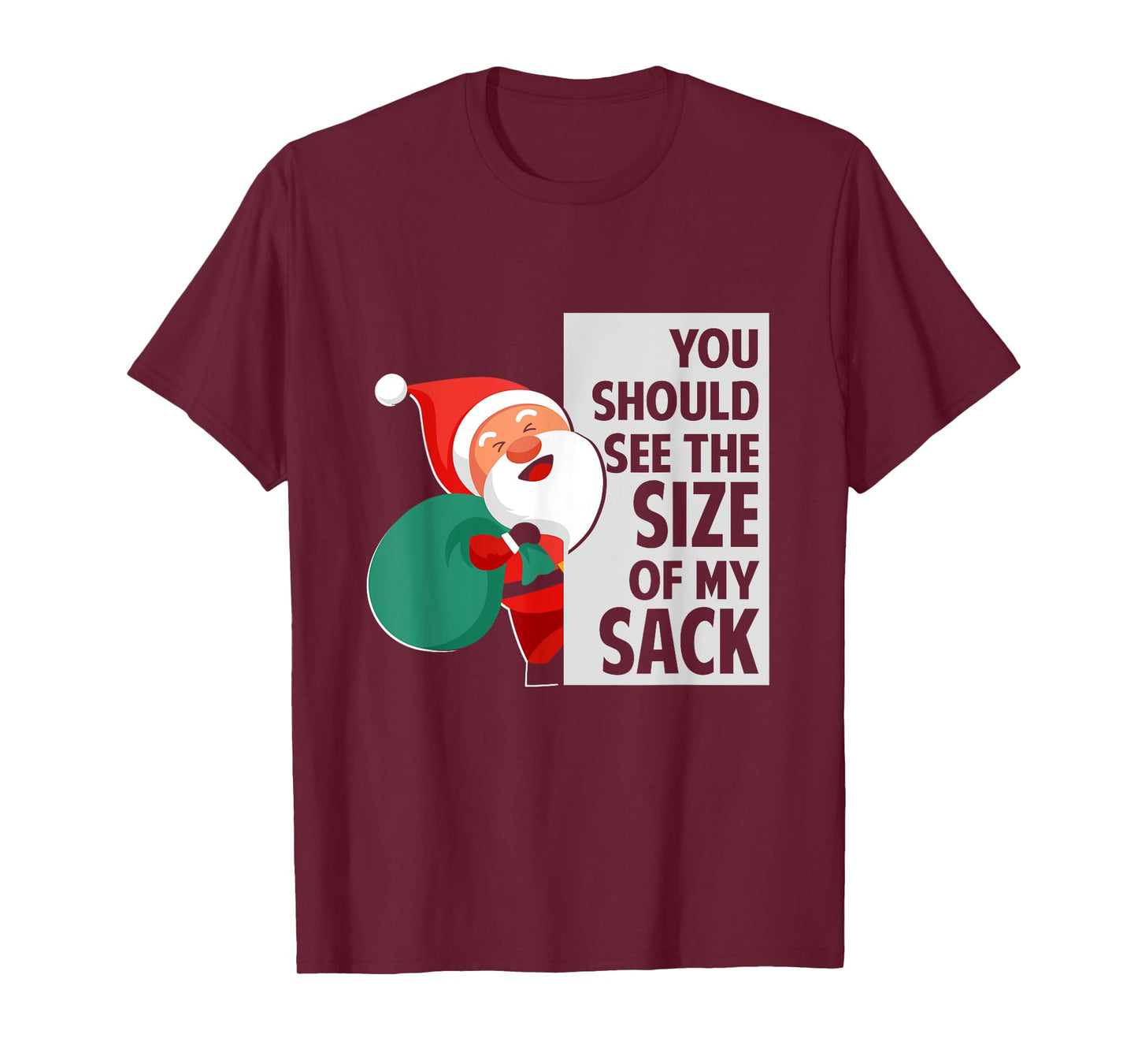 You Should See The Size Of My Sack Funny Santa Christmas T-Shirt