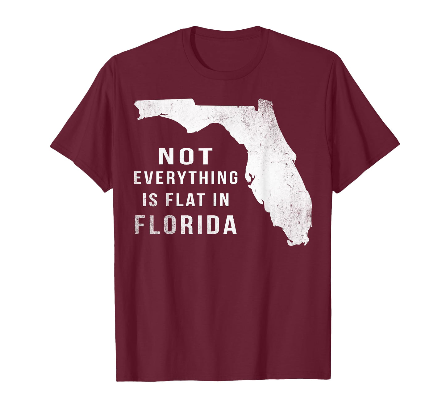 Not Everything Is Flat Funny Florida T-Shirt T-Shirt