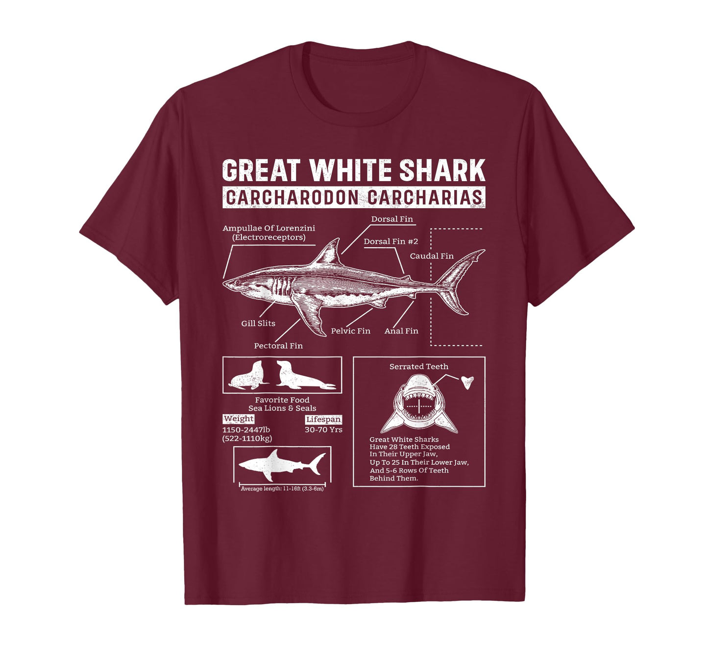 Vintage Great White Shark Anatomy Lover Marine Biologist T-Shirt