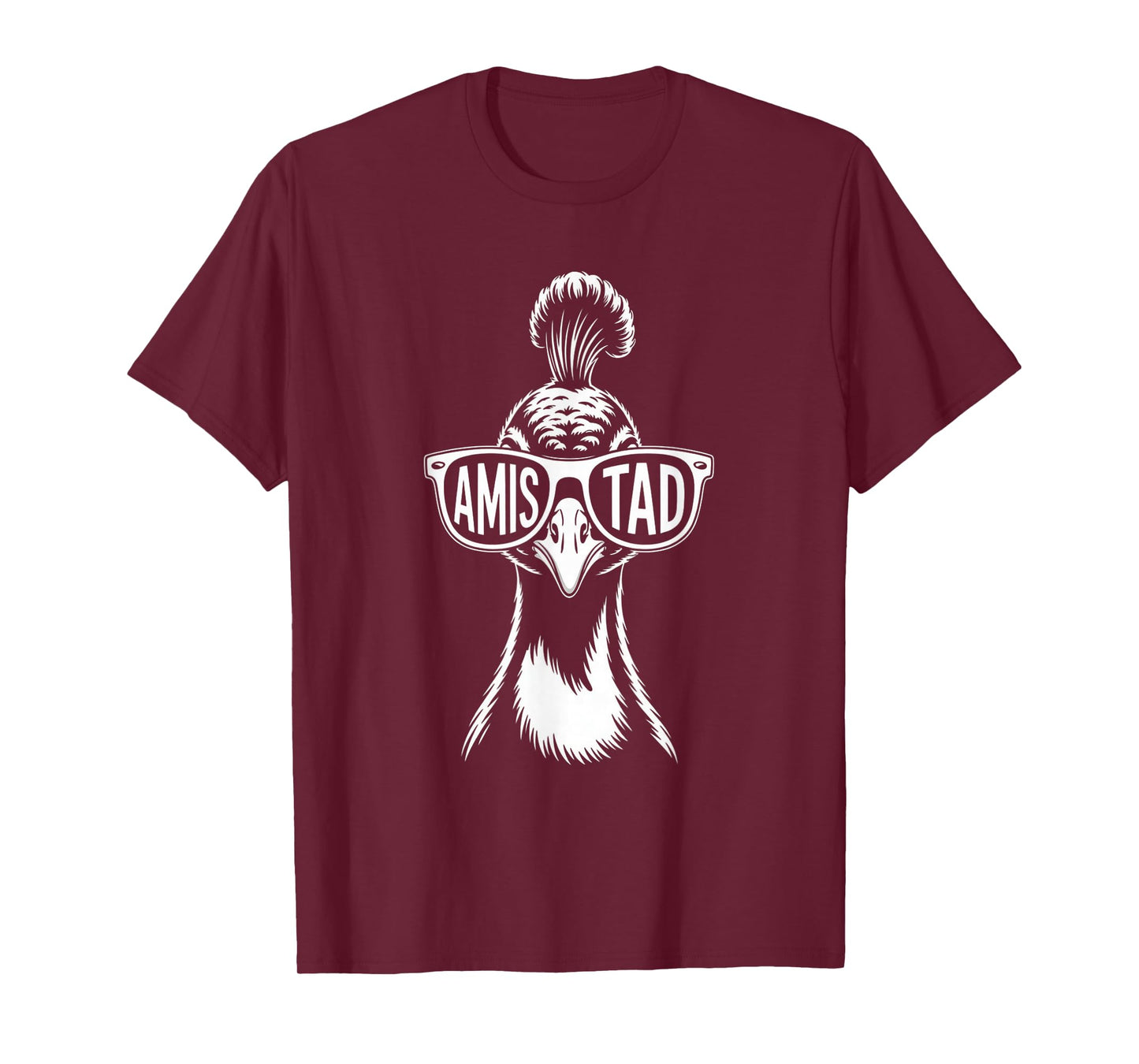 Amistad House of Friendship, RCA School Teachers T-Shirt
