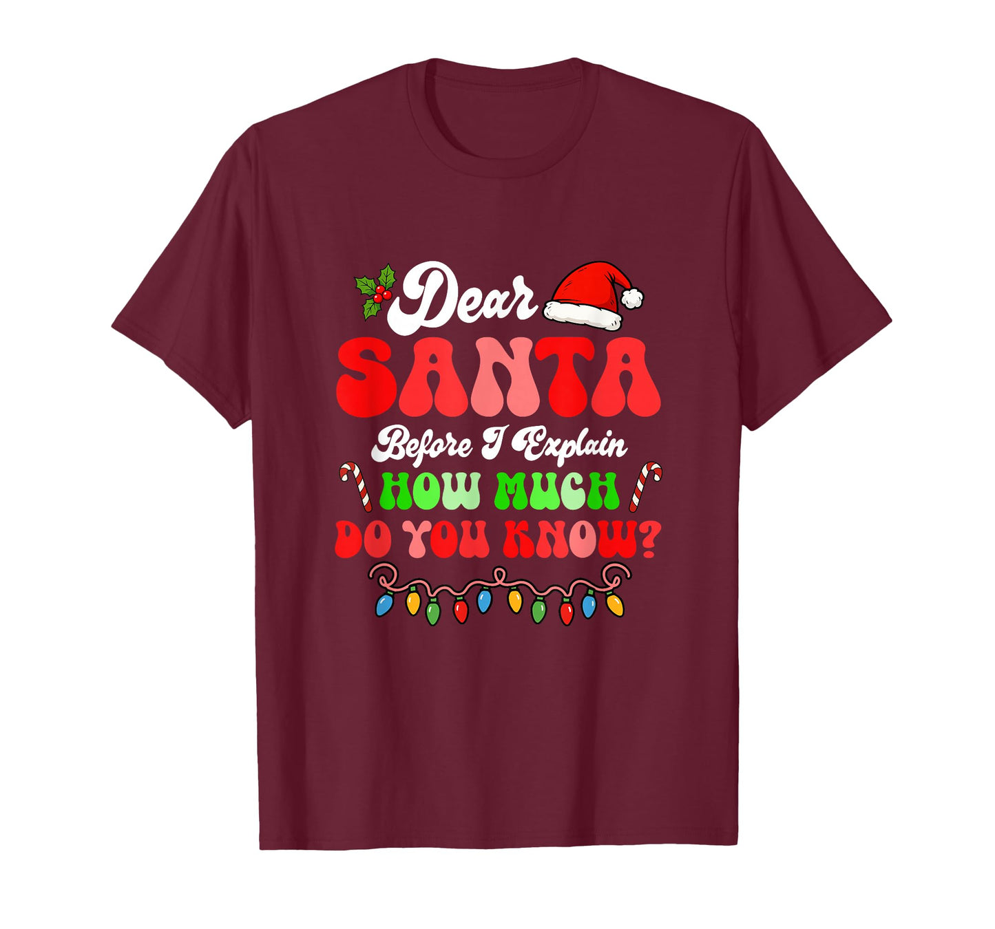 I Can Explain Christmas Colorful Lights Santa Costume Family T-Shirt
