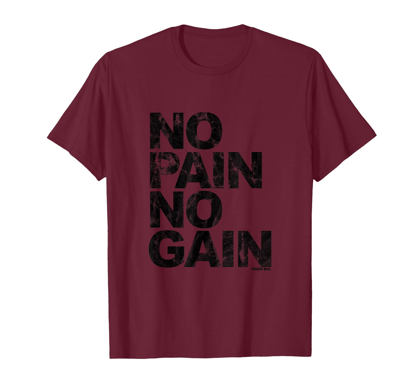 No Pain No Gain - Training, men, women T-Shirt