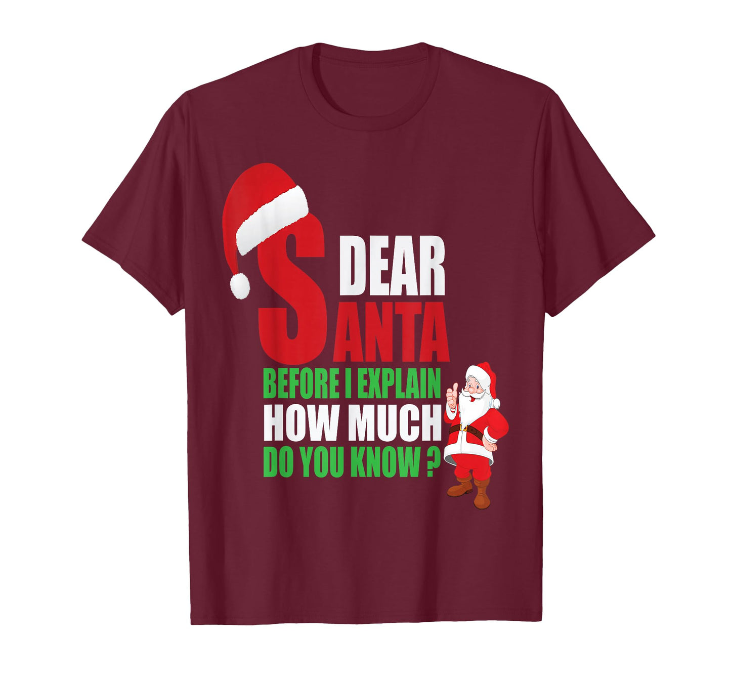 Dear Santa Before I Explain How Much Do You Know? Funny Tee T-Shirt