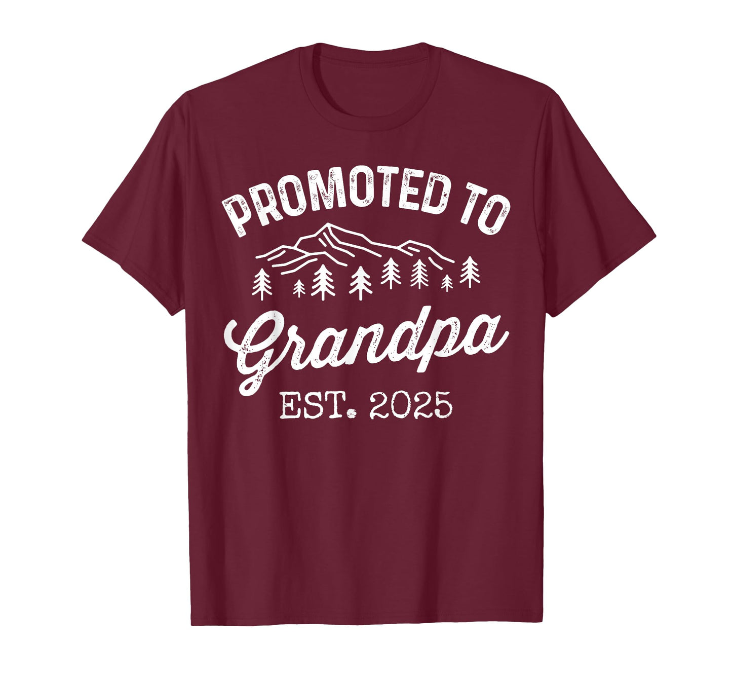 Promoted To Grandpa Est 2025 Soon To Be Grandpa Gifts Poppop T-Shirt