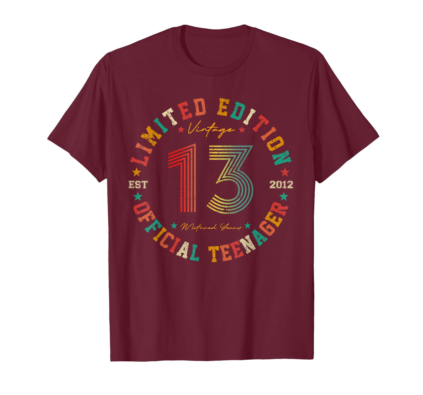 Official Teenager 13 Year Old Gifts Vintage 13th Birthday T-Shirt