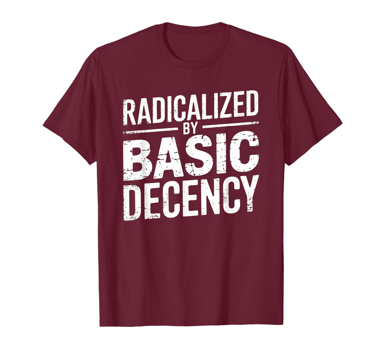 Radicalized By Basic Decency Funny Quote Distressed Vintage T-Shirt
