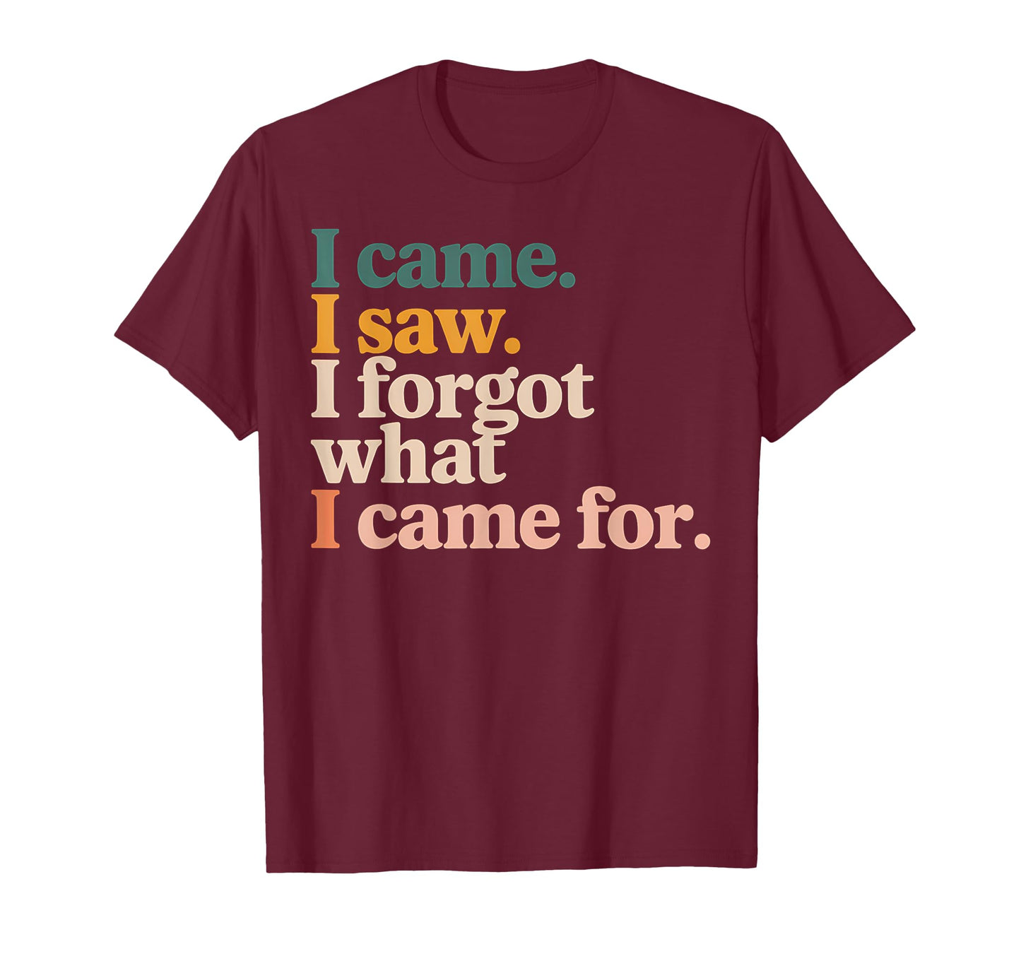 Funny Graphic Tee I Came I Saw I Forgot What I Came For T-Shirt