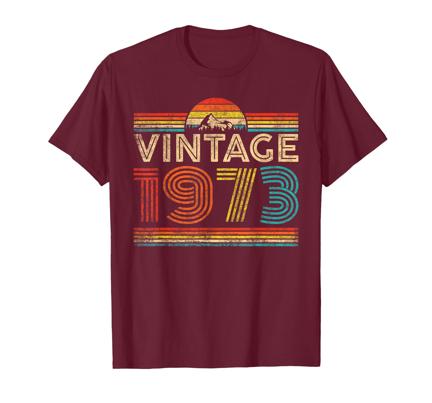 Vintage 1973 Classic Year 1973 Birthday Men Women Vintage T-Shirt