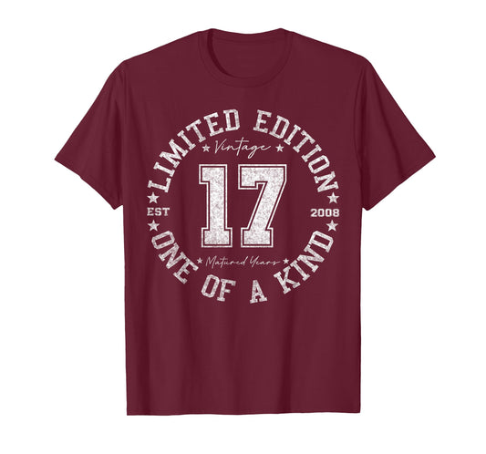 Retro One Of a Kind Shirts For Men Women 2025 17 Year Old Gifts Vintage 2008 Limited Edition 17th Birthday T-Shirt Black Unisex-Youth T-Shirt