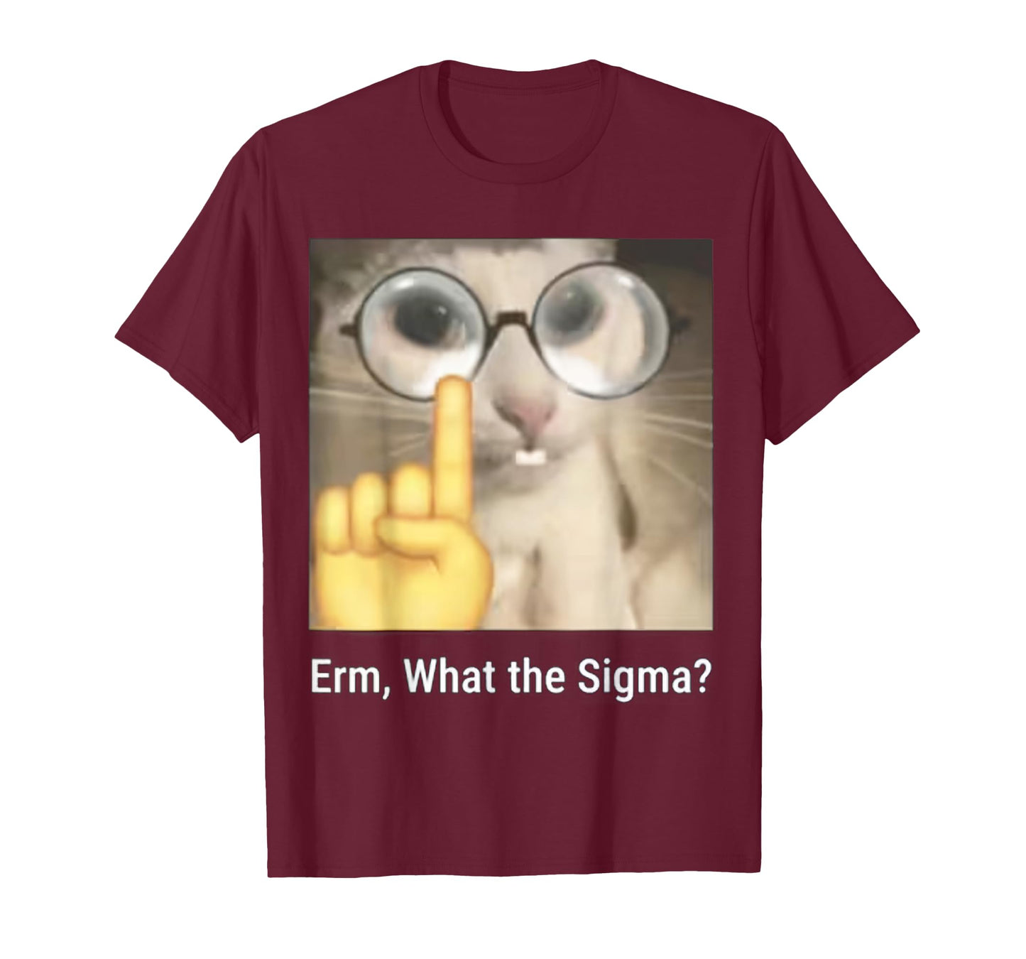 Erm, What the Sigma? Cat Meme Funny T-Shirt
