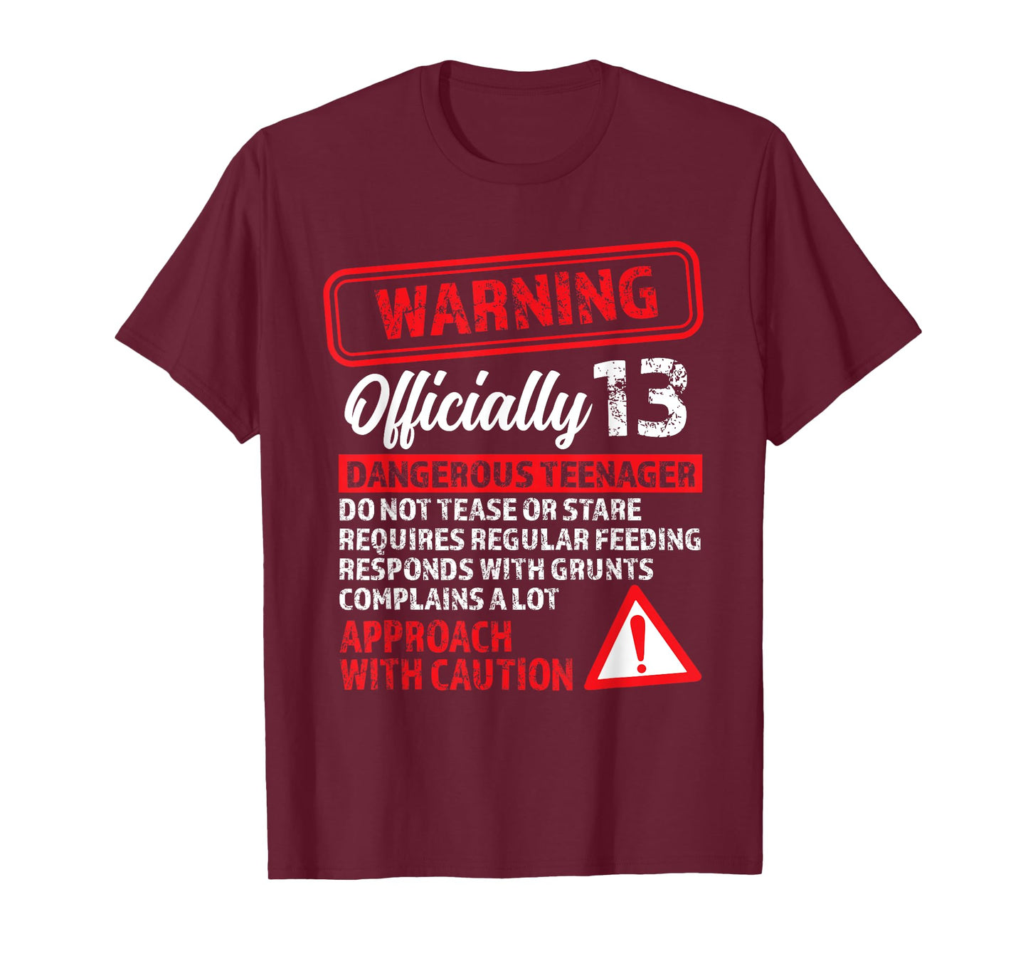 13th Birthday Gifts Warning Dangerous Teenager 13 Yr Old T-Shirt