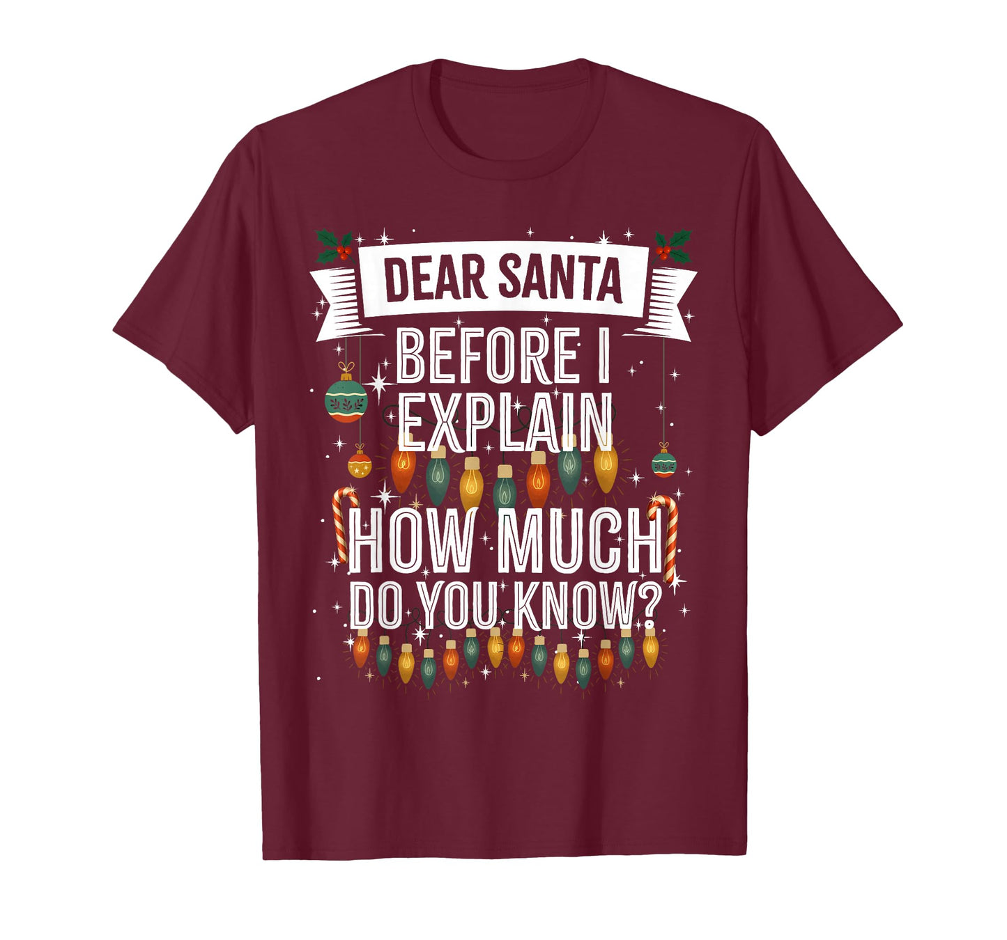 Dear Santa, I can Explain, Funny Naughty Adult Christmas T-Shirt