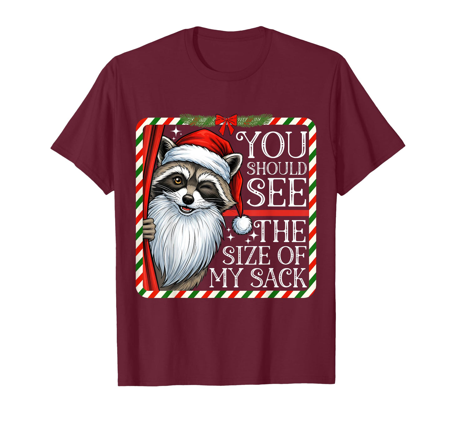 You Should See The Size of My Sack Funny Santa Christmas T-Shirt