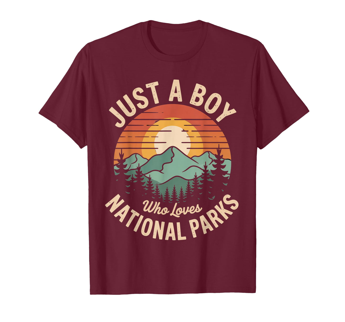 Just A Boy Who Loves National Parks Retro Nature vintage T-Shirt
