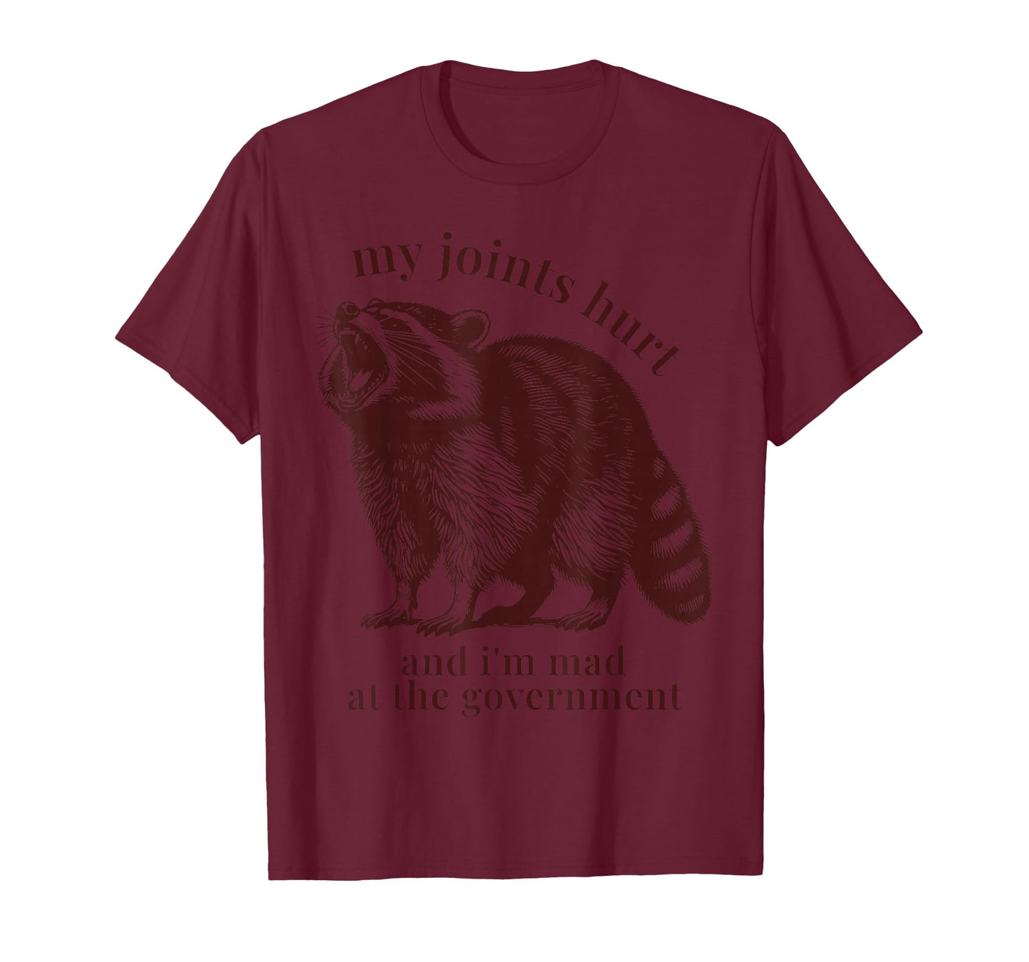Raccoon My Joints Hurt Funny Ehlers Danlos Syndrome Lupus T-Shirt