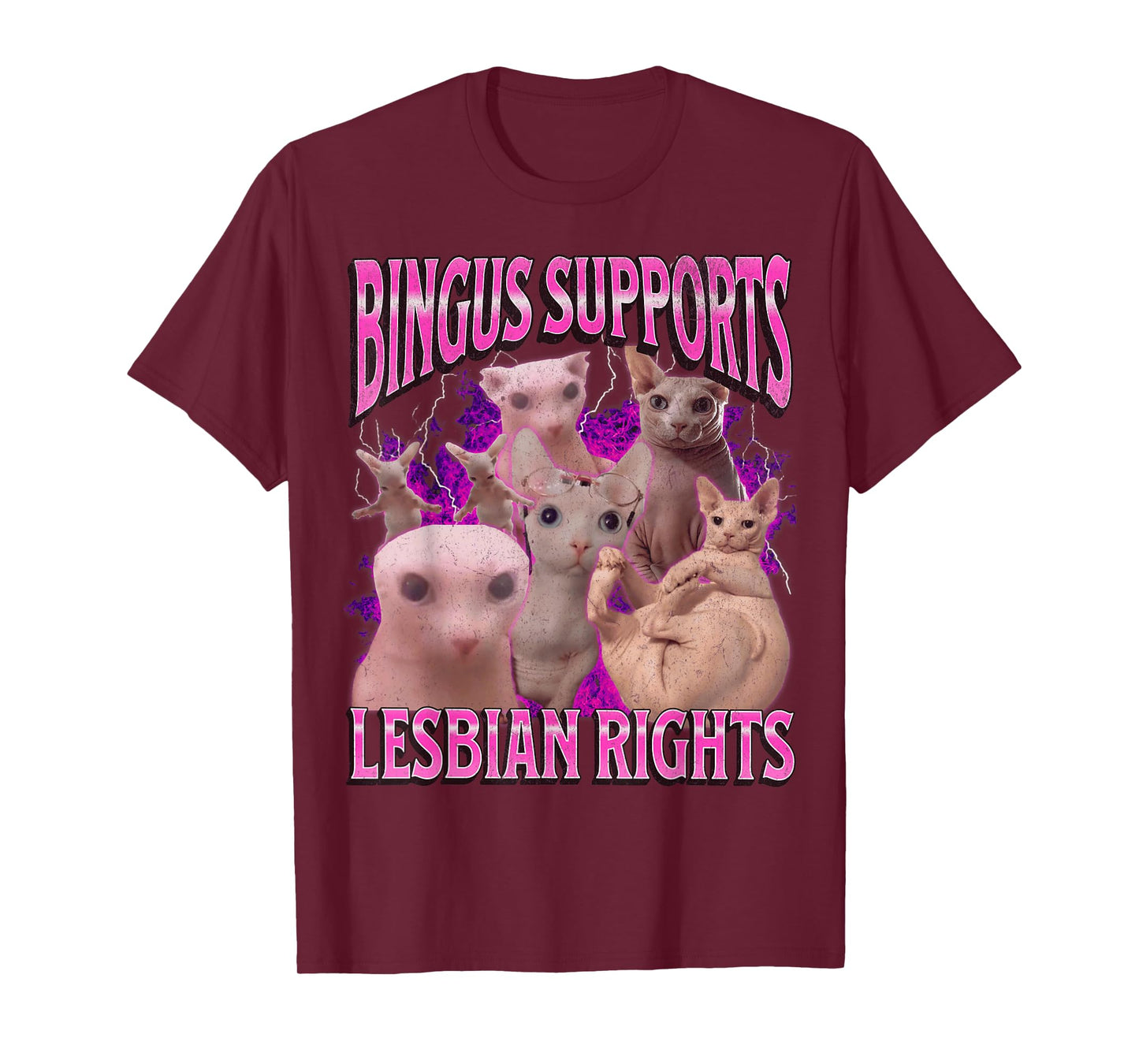 Bingus Supports Lesbian Rights Funny Cat Meme Bootleg T-Shirt