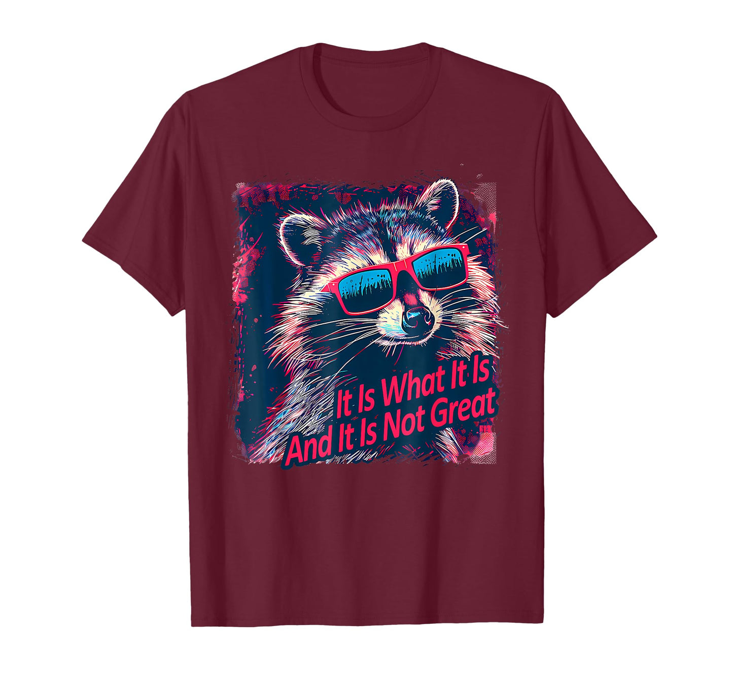 Cool Raccoon Sarcastic It Is What It Is And It Is Not Great T-Shirt