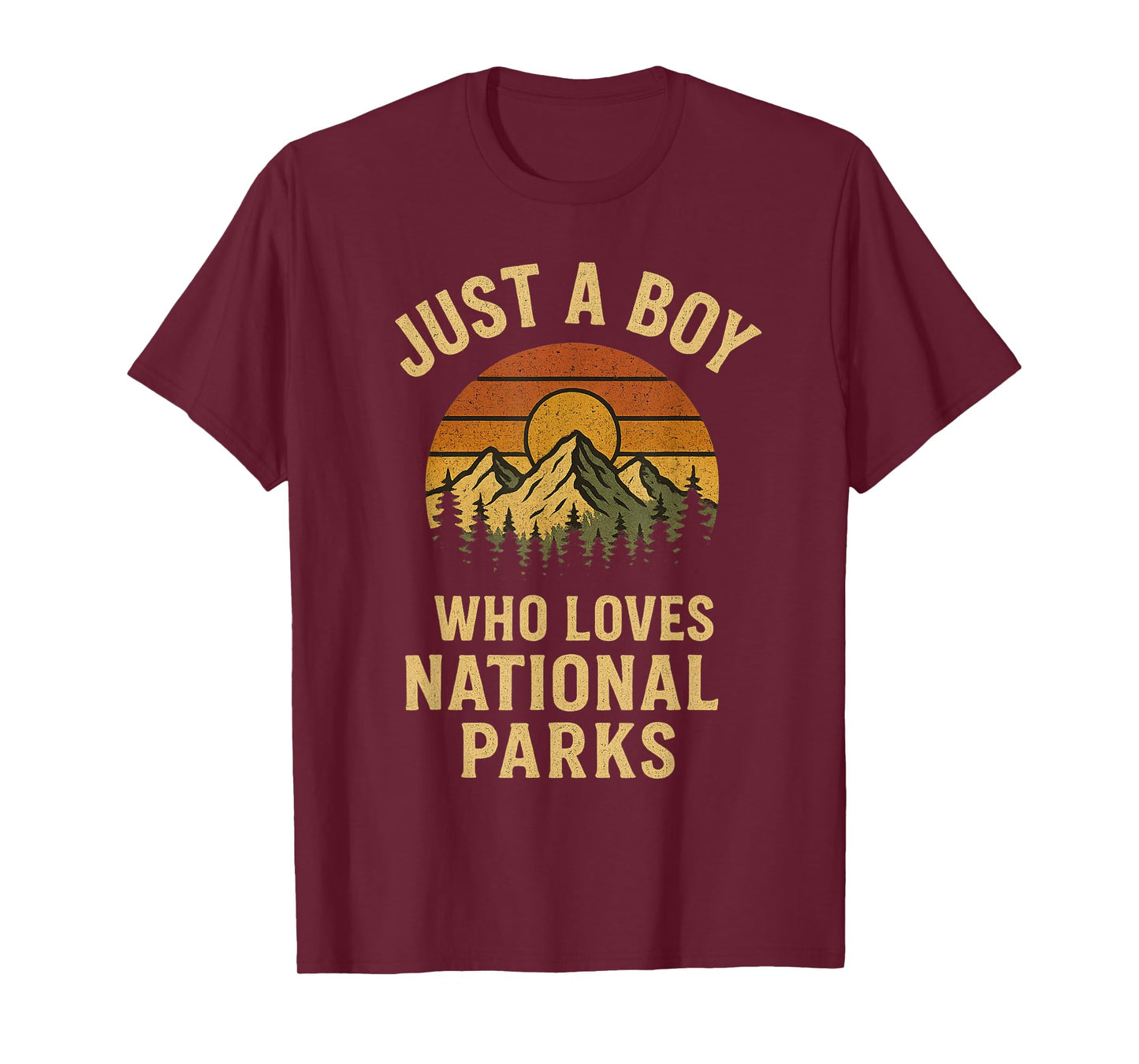 Just A Boy Who Loves National Parks Retro Camping vintage T-Shirt