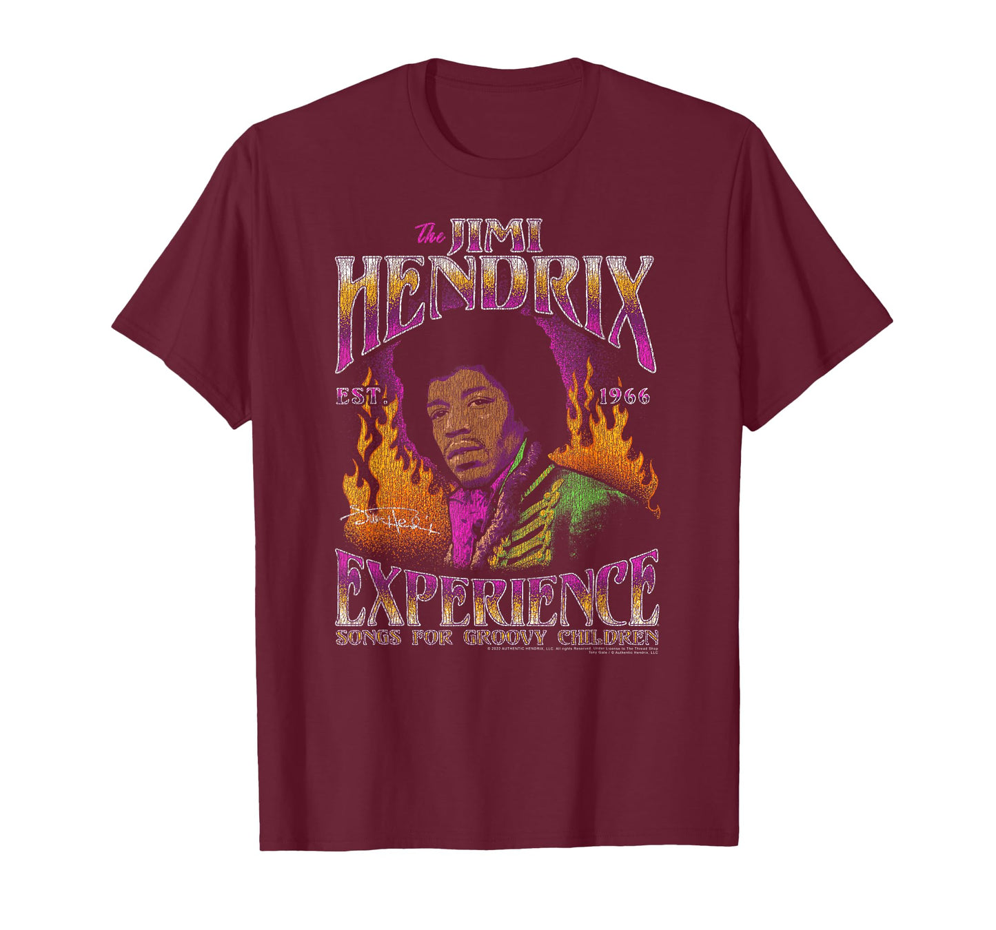 Jimi Hendrix Songs for Groovy Children Flames Vintage Band T-Shirt
