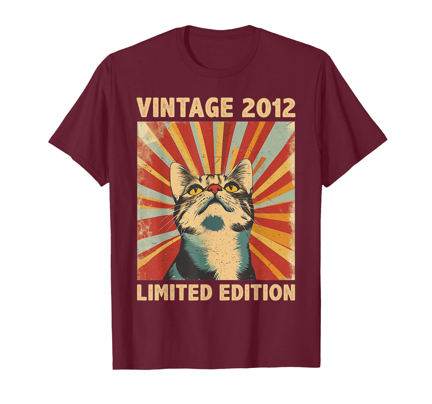 13 Years Old Gift Vintage 2012 Cat Lover 13th Birthday T-Shirt for Men Women Kids