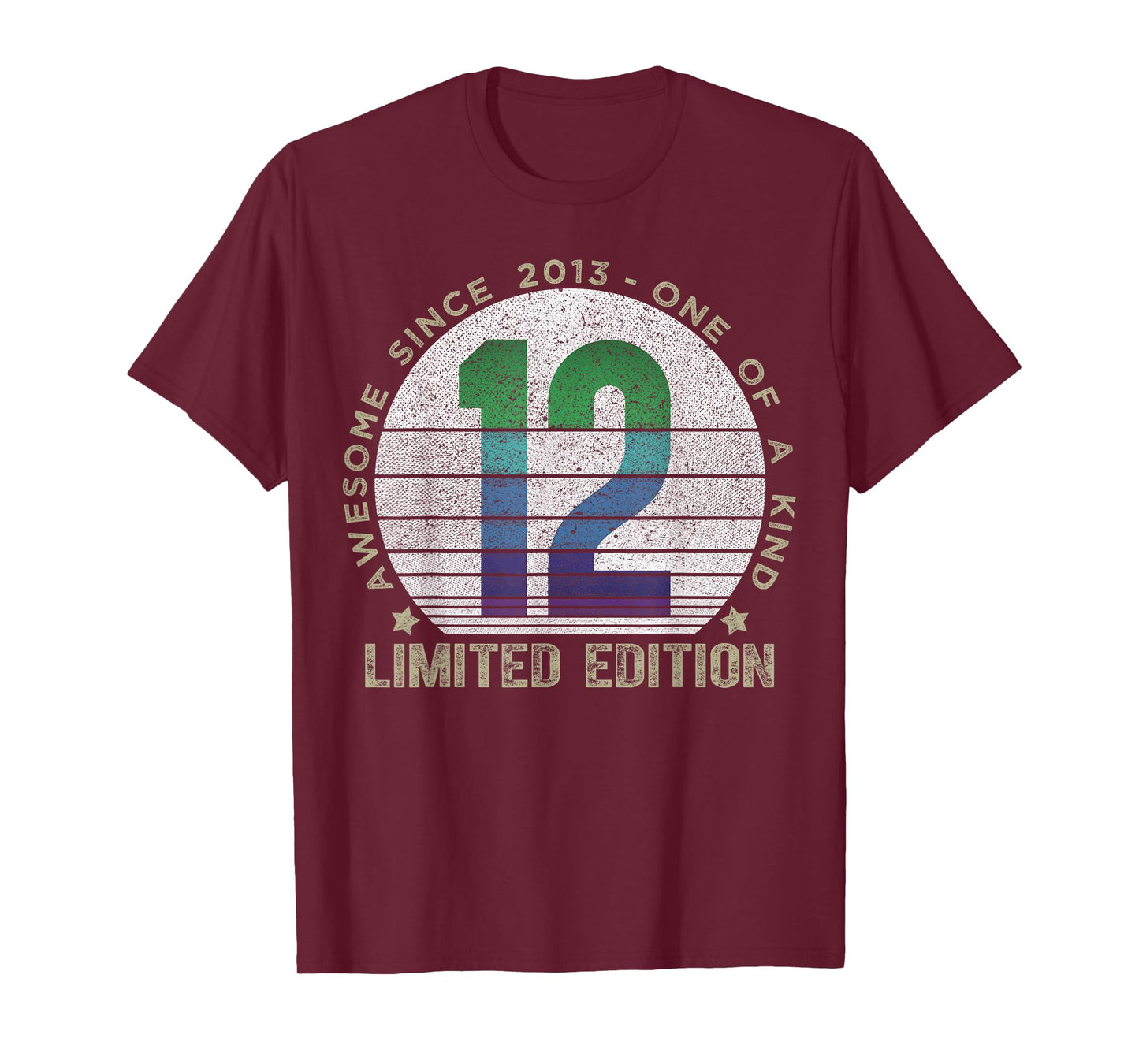 12 Year Old Gifts Vintage 2013 Limited Edition 12th Birthday T-Shirt