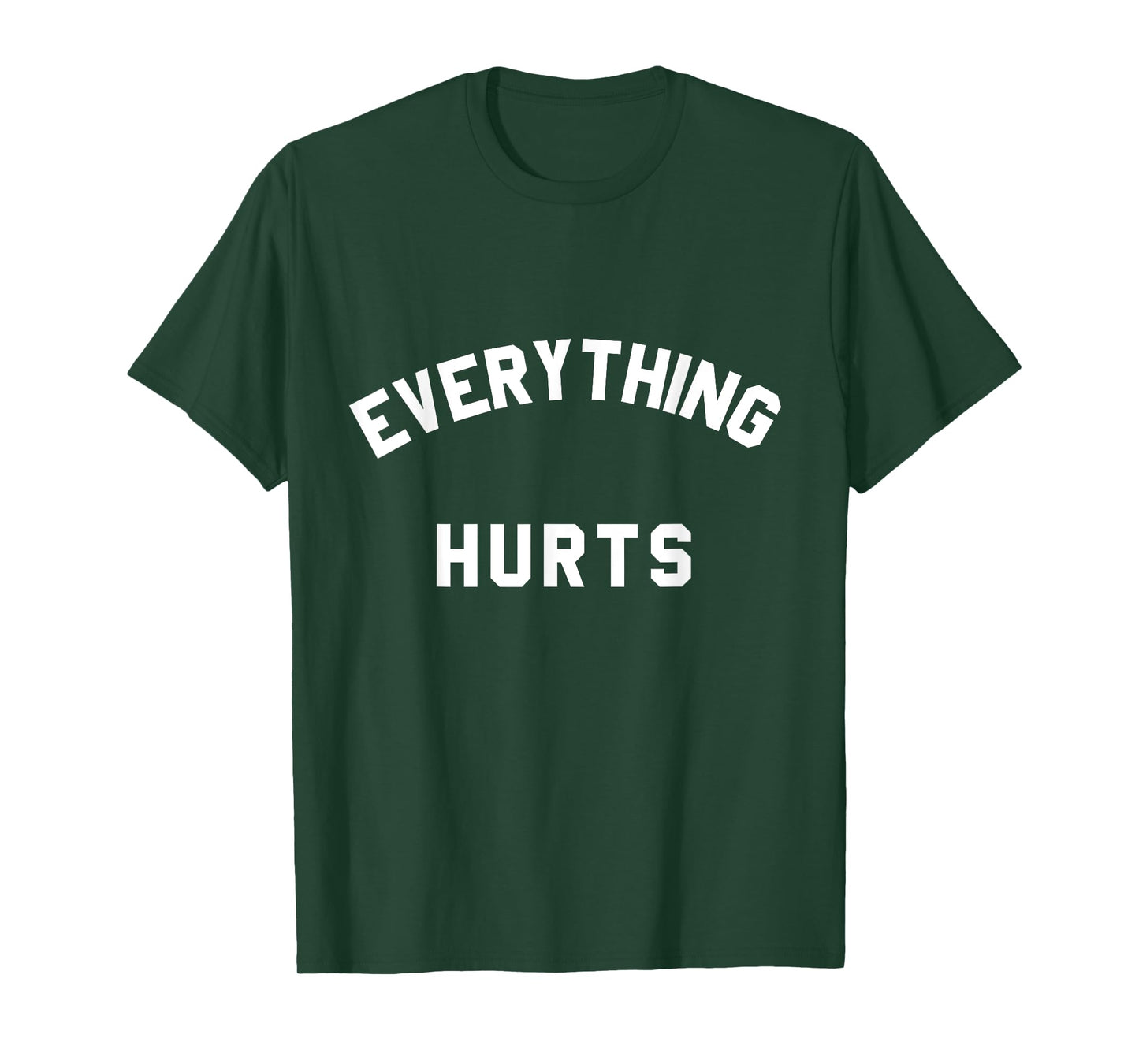 Mens Everything Hurts Workout T-Shirt Small Heather Blue