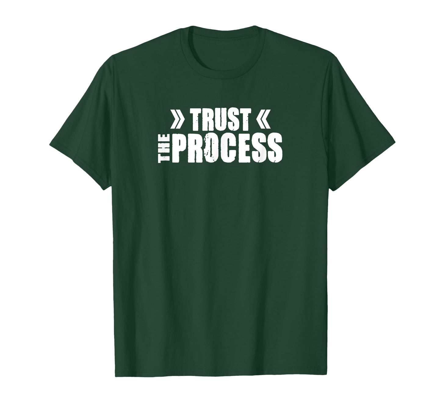 TRUST THE PROCESS D690 Gym Fitness Workout Weightlifting T-Shirt