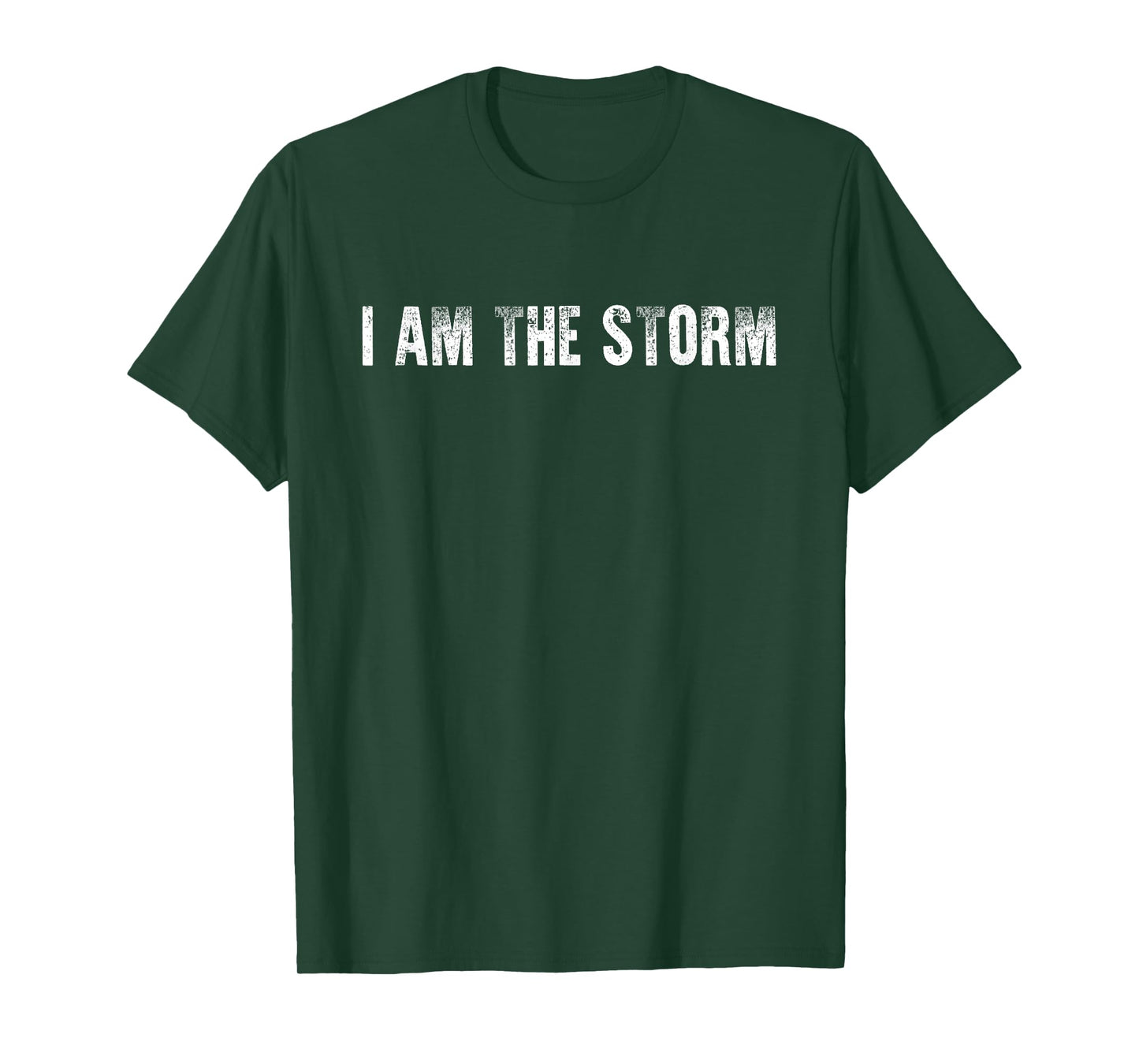 I Am The Storm Mixed Martial Arts Quote Fighter Gift T-Shirt