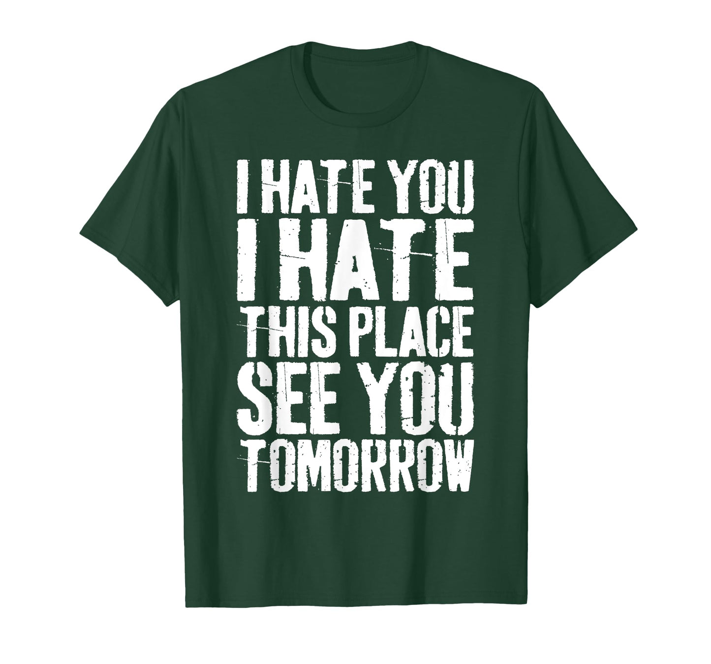 I Hate You I Hate This Place See You Tomorrow T-Shirt T-Shirt