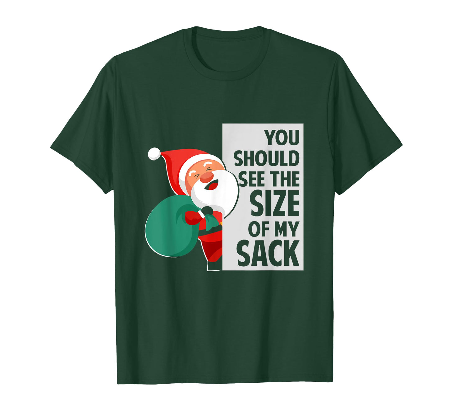 You Should See The Size Of My Sack Funny Santa Christmas T-Shirt