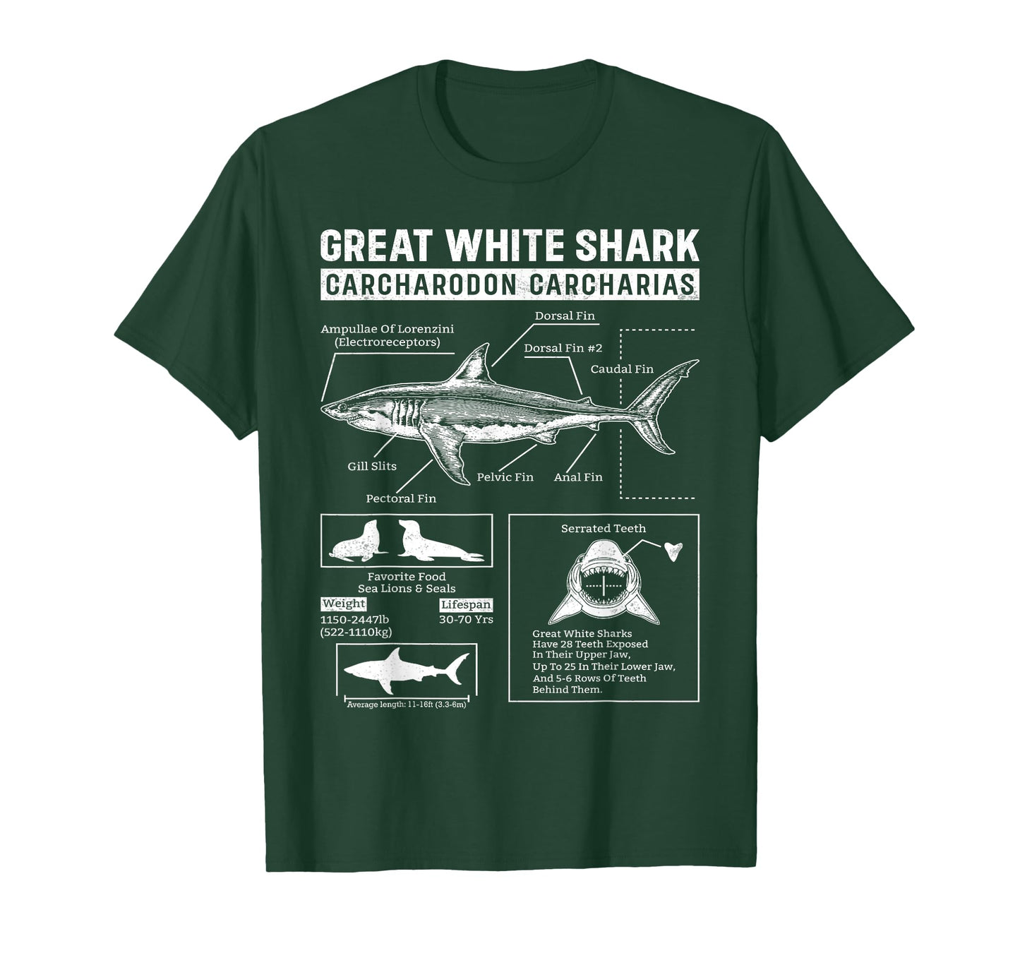 Vintage Great White Shark Anatomy Lover Marine Biologist T-Shirt