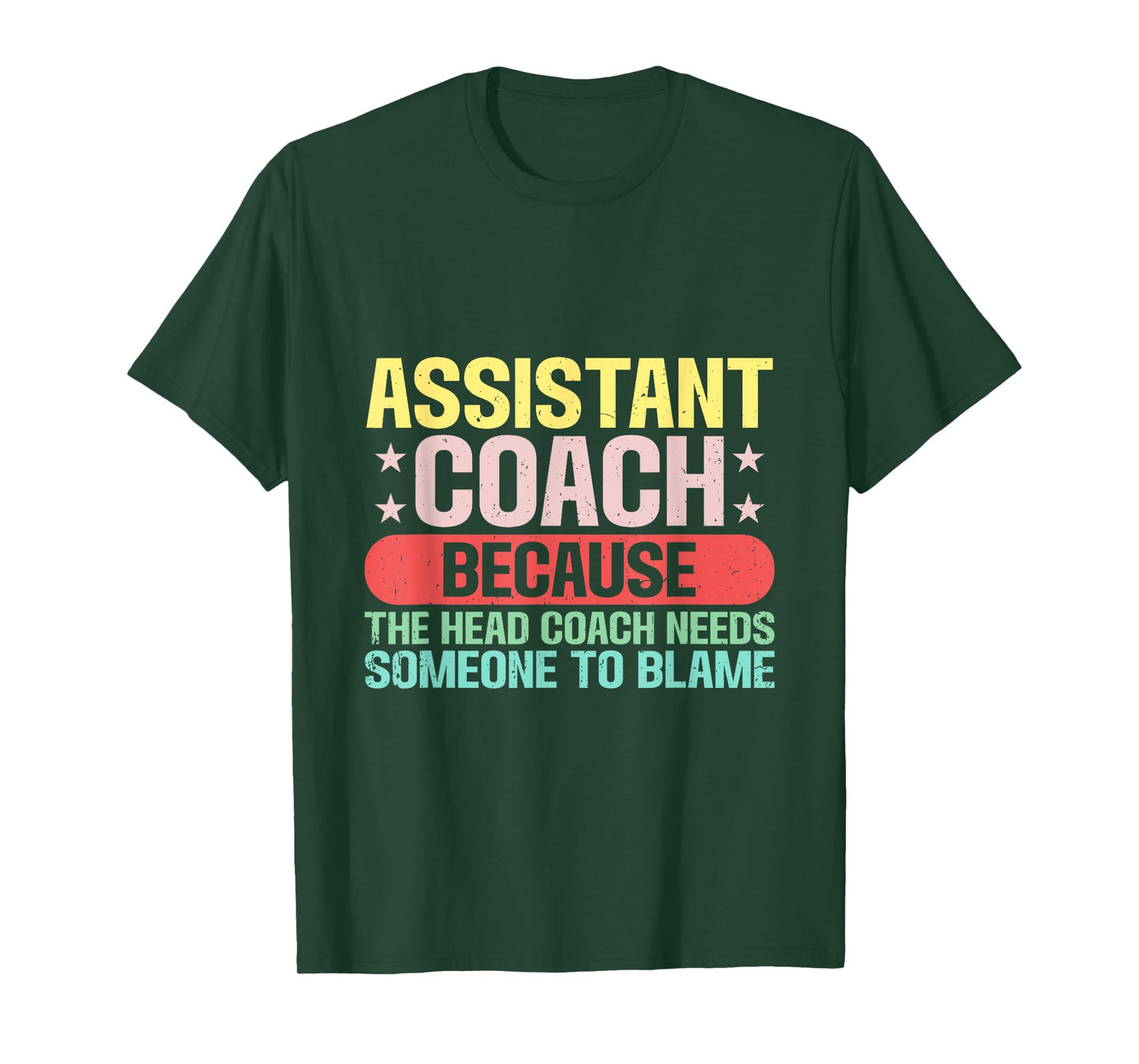 Assistant Coach The Head Coach Needs Someone To Blame T-Shirt