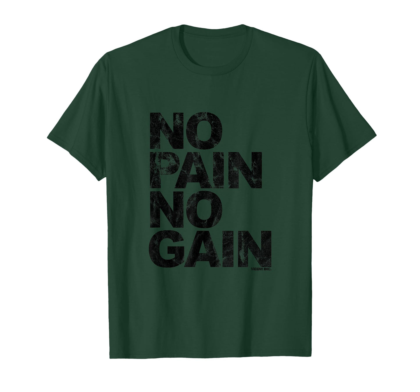 No Pain No Gain - Training, men, women T-Shirt