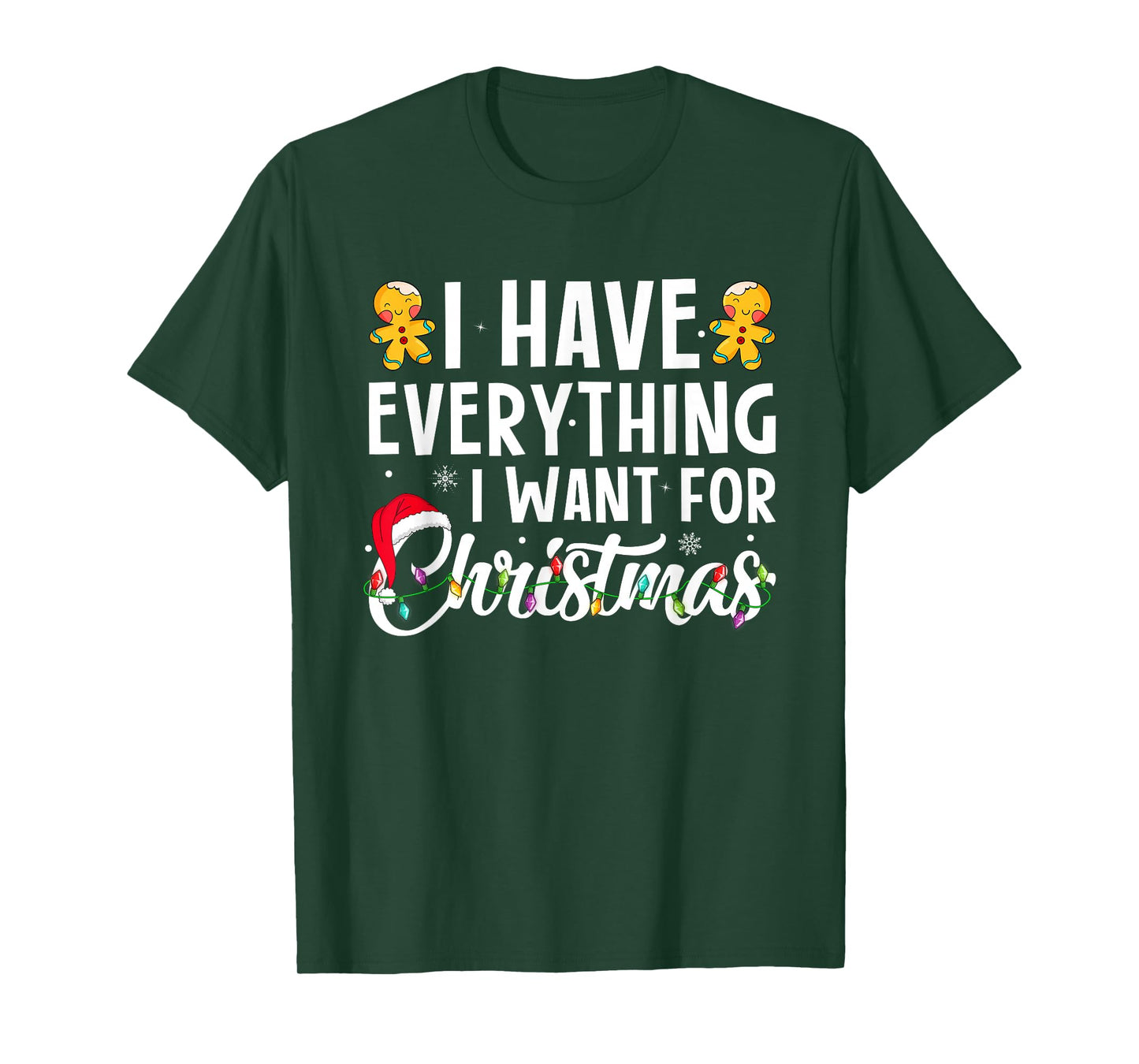 I Have Everything I Want for Christmas Funny Xmas Pajamas T-Shirt